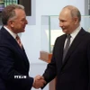 Tổng thống Nga Vladimir Putin (phải) tiếp Đặc phái viên của Tổng thống Mỹ Steve Witkoff tại thành phố St. Petersburg, ngày 11/4/2025. (Ảnh: REUTERS/TTXVN)