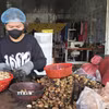 Chế biến hạt điều tại xã Ia O, tỉnh Gia Lai. (Ảnh: Hồng Điệp/TTXVN)