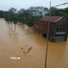 Nước sông Hiến lên rất nhanh, gây ngập lụt ở các vùng trũng. (Ảnh: Chu Hiệu/TTXVN)