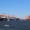 Quang cảnh cảng hàng hóa tại Bayonne, New Jersey, Mỹ. (Ảnh: THX/TTXVN)