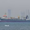 Tuyến đường ống Đông-Tây then chốt của Saudi Arabia giúp vận chuyển dầu không đi qua eo biển Hormuz hiện đang bơm dầu ở mức công suất tối đa 7 triệu thùng/ngày.(Ảnh: AA/TTXVN)