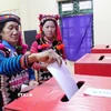 Đồng bào dân tộc Hà Nhì trong trang phục rực rỡ bỏ phiếu tại Tổ bầu cử số 1, xã Sín Thầu, tỉnh Điện Biên. (Ảnh: Trung Kiên/TTXVN)