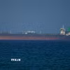 Con tàu di chuyển qua eo biển Hormuz. (Ảnh: AA/TTXVN)