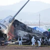 Hiện trường vụ tai nạn máy bay của hãng Jeju Air tại Muan, Hàn Quốc. (Ảnh: Yonhap/TTXVN)