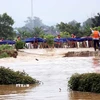 Gia cố khu tuyến đê bối sông Cầu bị vỡ. (Ảnh: Trần Trang/TTXVN)
