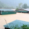 Mưa lũ gây ngập lụt nhiều nhà dân trên địa bàn xã Trung Hạ, tỉnh Thanh Hóa. (Ảnh: TTXVN phát)