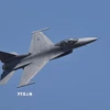 Máy bay chiến đấu F-16. (Ảnh: AFP/TTXVN)