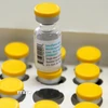 Vaccine phòng bệnh đậu mùa khỉ. (Ảnh: THX/TTXVN)