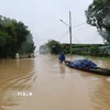 Nhiều khu vực trũng thấp vẫn bị ngập sâu trong nước lũ. (Ảnh: Đỗ Trưởng/TTXVN)