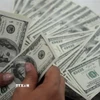 Đồng USD. (Ảnh: AFP/TTXVN)