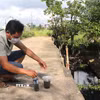 Người dân lấy nước từ kênh Chìm cho vào chai để thấy rõ màu đen. (Ảnh: Đinh Hương/TTXVN)