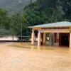 Các địa phương miền Tây Nghệ An ngập sâu trên diện rộng. (Ảnh: TTXVN phát)