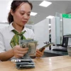 Kiểm đếm đồng USD tại Vietcombank. (Ảnh: Trần Việt/TTXVN)