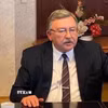 Đại diện thường trực của Nga tại các tổ chức quốc tế ở Vienna (Áo) Mikhail Ulyanov. (Ảnh: IRNA/TTXVN)