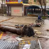 Cây cối bị quật ngã, mái tôn bay, nước ngập và một số phương tiện bị hư hỏng khi bão số 10 đổ bộ tỉnh Nghệ An. (Ảnh: Trịnh Duy Hưng/TTXVN)
