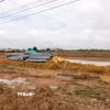 (Ảnh minh họa. Nguyễn Thanh/TTXVN)