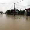 Nước lũ bủa vây nhiều khu vực ở hạ du sông Bồ, trong đó có xã Đan Điền, thành phố Huế. (Ảnh: Đỗ Trưởng/TTXVN)