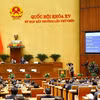 Đoàn đại biểu Quốc hội tỉnh Hà Tĩnh biểu quyết thông qua Luật Tổ chức Chính phủ (sửa đổi). (Ảnh: Doãn Tấn/TTXVN)