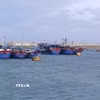 Các các tàu, thuyền đã neo đậu an toàn tại âu cảng Bạch Long Vĩ. (Ảnh: TTXVN phát)