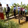 Du lịch sinh thái mang đặc trưng miệt vườn ở cù lao Bảo, tỉnh Bến Tre. (Ảnh: Hồng Đạt/TTXVN)