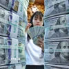 Nhân viên kiểm đếm đồng USD. (Ảnh: Yonhap/TTXVN)