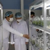 Phòng thí nghiệm của Trung tâm công nghệ sinh học thành phố Đà Nẵng. (Ảnh: Văn Dũng/TTXVN)