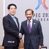 Chủ tịch nước Lương Cường gặp Quốc vương Brunei Hassanal Bolkiah. (Ảnh: Lâm Khánh/TTXVN)
