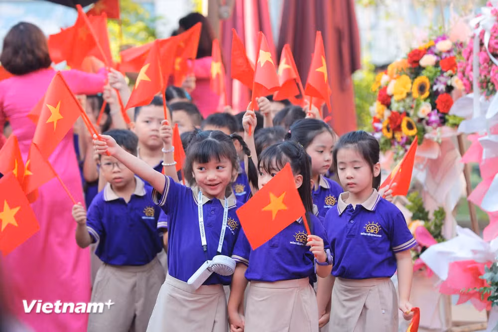 Năm học 2026-2027: Không dạy trước lớp 1, đẩy mạnh STEM, AI và tiếng Anh- Ảnh 1.