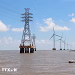 Khu vực ven biển của tỉnh Cà Mau có điều kiện rất thuận lợi để phát triển lĩnh vực năng lượng tái tạo. (Ảnh: Huỳnh Anh/TTXVN)