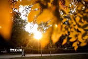 Cảnh đẹp mùa thu tại Budapest, Hungary ngày 21/10/2026. (Ảnh: THX/TTXVN phát)