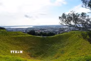 Mount Eden (tên gọi tiếng Māori: Maungawhau, nghĩa là "ngọn núi của cây whau" - cây gỗ đặc hữu siêu nhẹ của New Zealand) là đỉnh núi tự nhiên cao nhất trên đất liền thuộc vùng Auckland với độ cao 196m so với mực nước biển. Đây là ngọn núi lửa đã ngưng hoạt động khoảng 28.000 năm trước, nổi bật với lòng chảo miệng núi lửa sâu 50m phủ đầy thảm cỏ xanh mướt - một địa điểm thiêng liêng mang giá trị lịch sử và tâm linh đặc biệt đối với người Māori. (Ảnh: Lê Đạt/TTXVN)