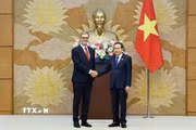 Chủ tịch Quốc hội Trần Thanh Mẫn tiếp Đại sứ đặc mệnh toàn quyền Cộng hòa Pháp tại Việt Nam Olivier Brochet. (Ảnh: Doãn Tấn/TTXVN)