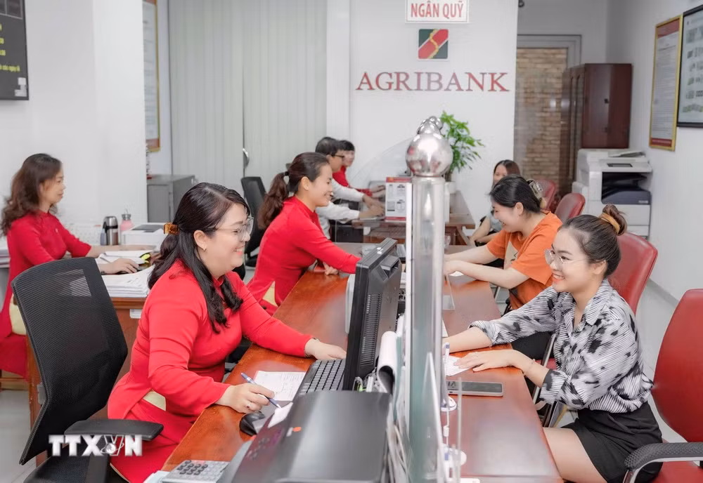 ttxvn-ngan-hang-agribank-cho-vay-tin-dung.jpg