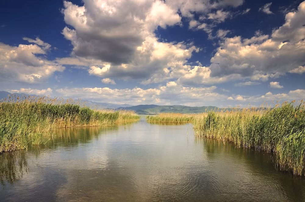 macedonia-4.jpg