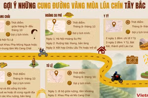 Gợi ý những cung đường vàng mùa lúa chín Tây Bắc