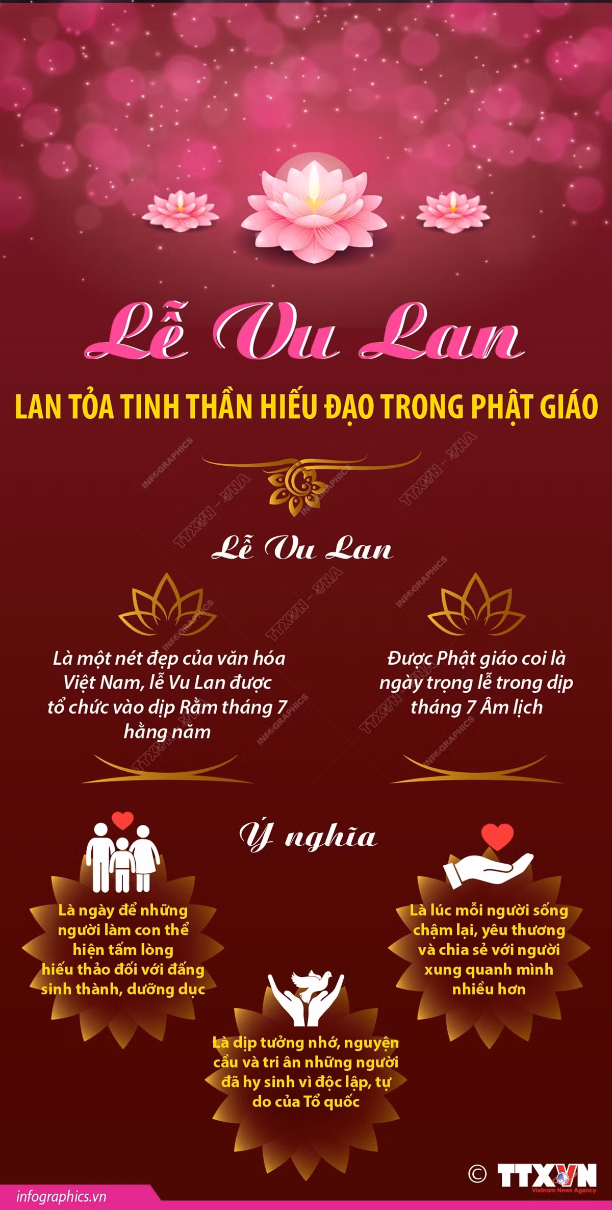 2024-8-16-vn-le-vu-lan-ngoc.jpeg