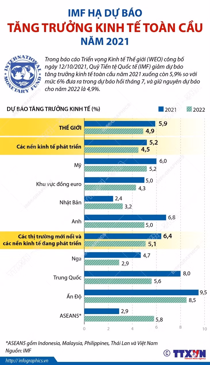 [Infographics] IMF hạ dự báo tăng trưởng kinh tế toàn cầu năm 2021 ảnh 1