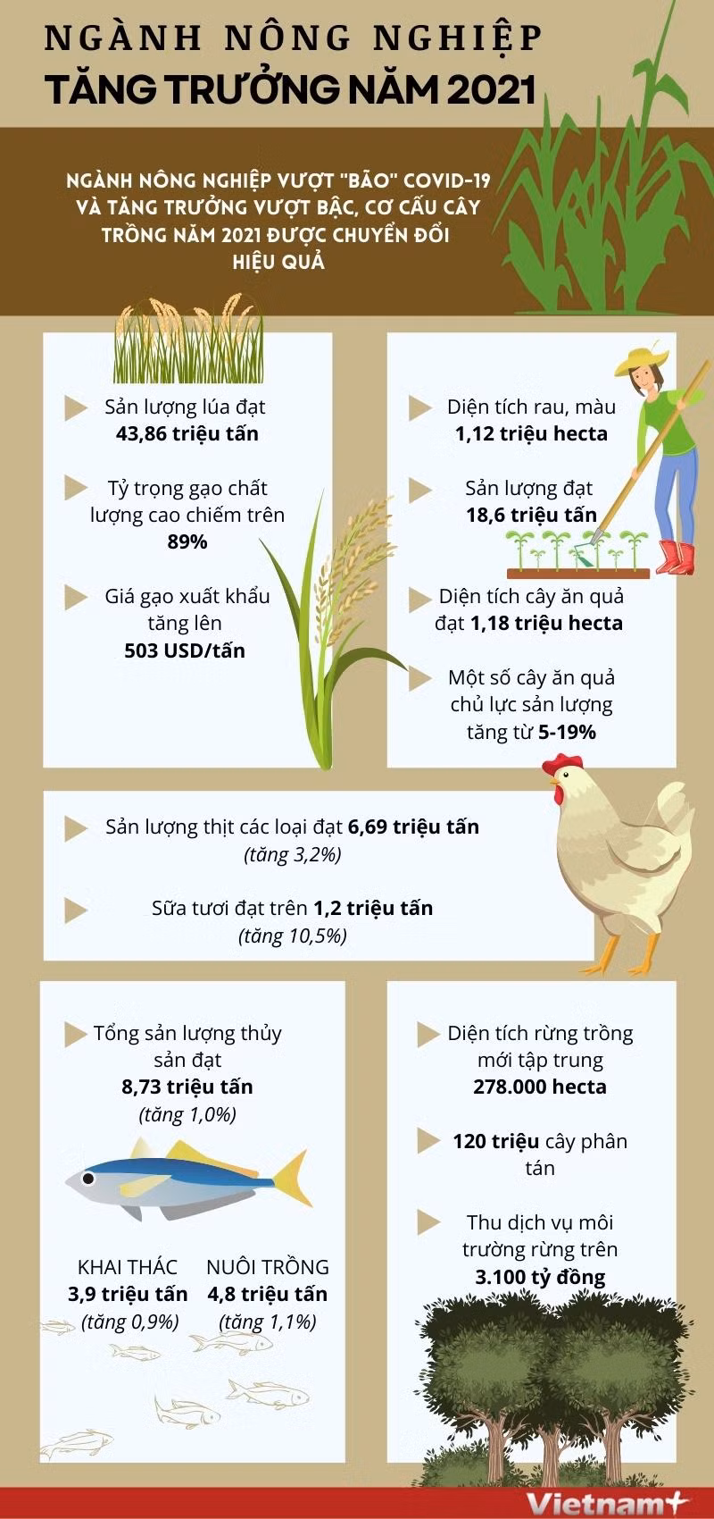 [Infographics] Nông nghiệp Việt Nam tăng trưởng vượt bậc năm 2021 ảnh 1