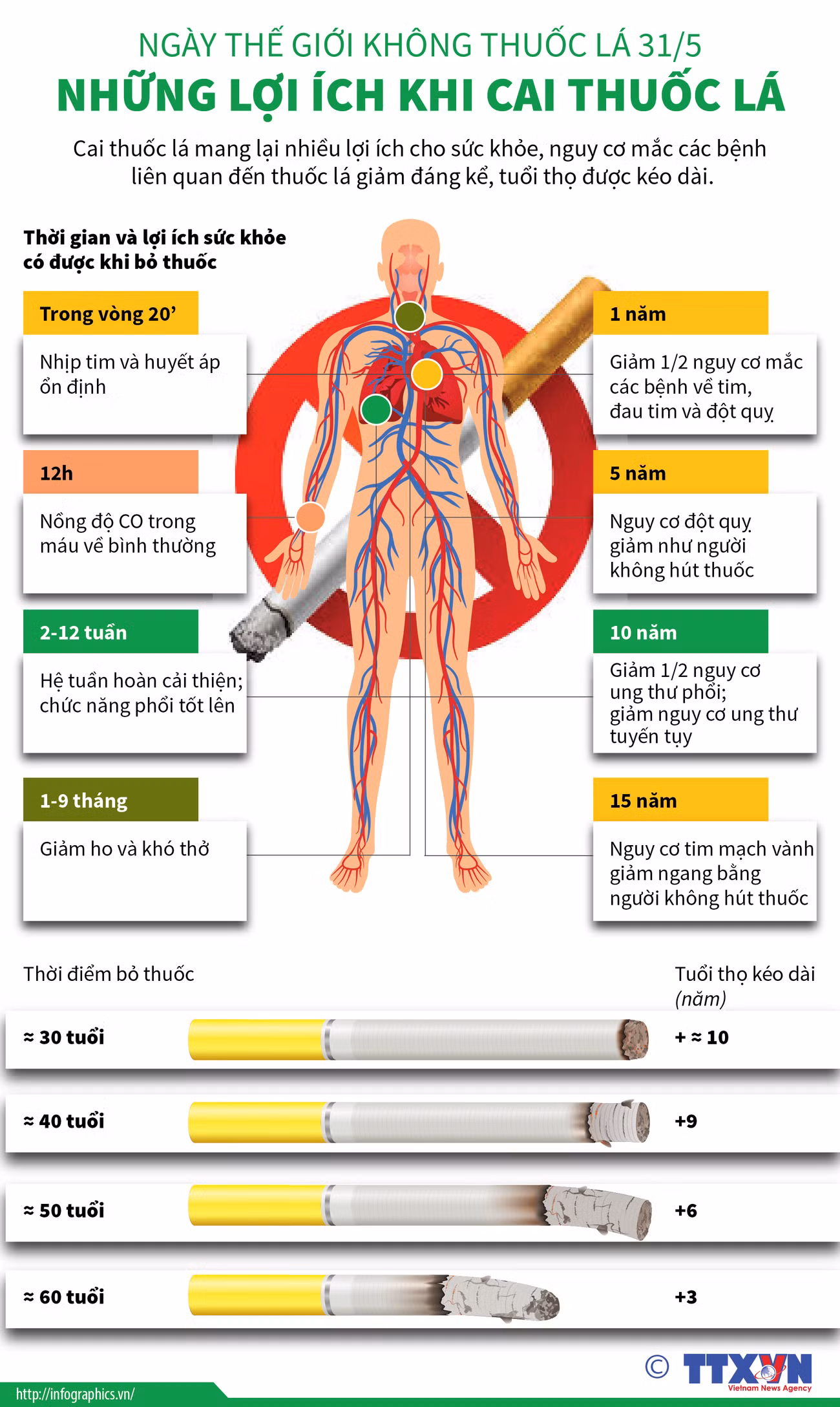 [Infographics] Cai thuốc lá mang lại nhiều lợi ích cho sức khỏe ảnh 1