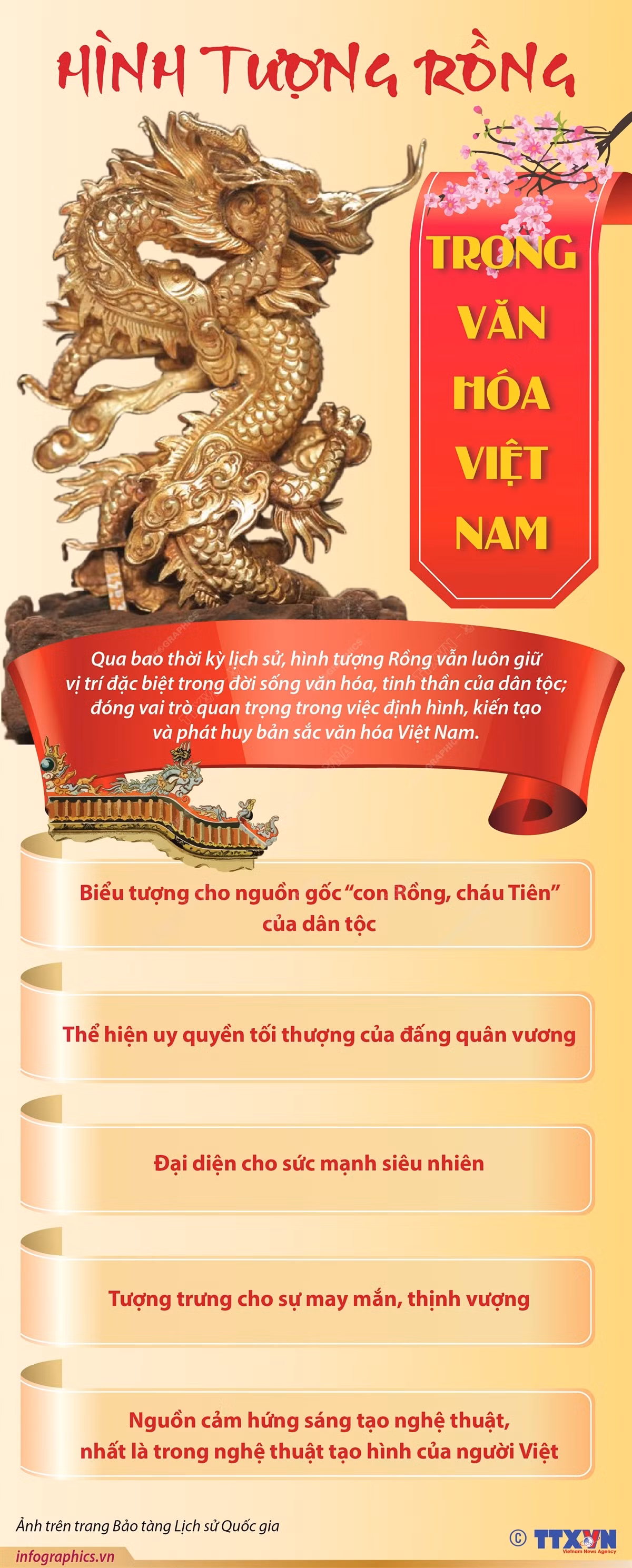 Infographics_hinh tuong rong 1.jpg