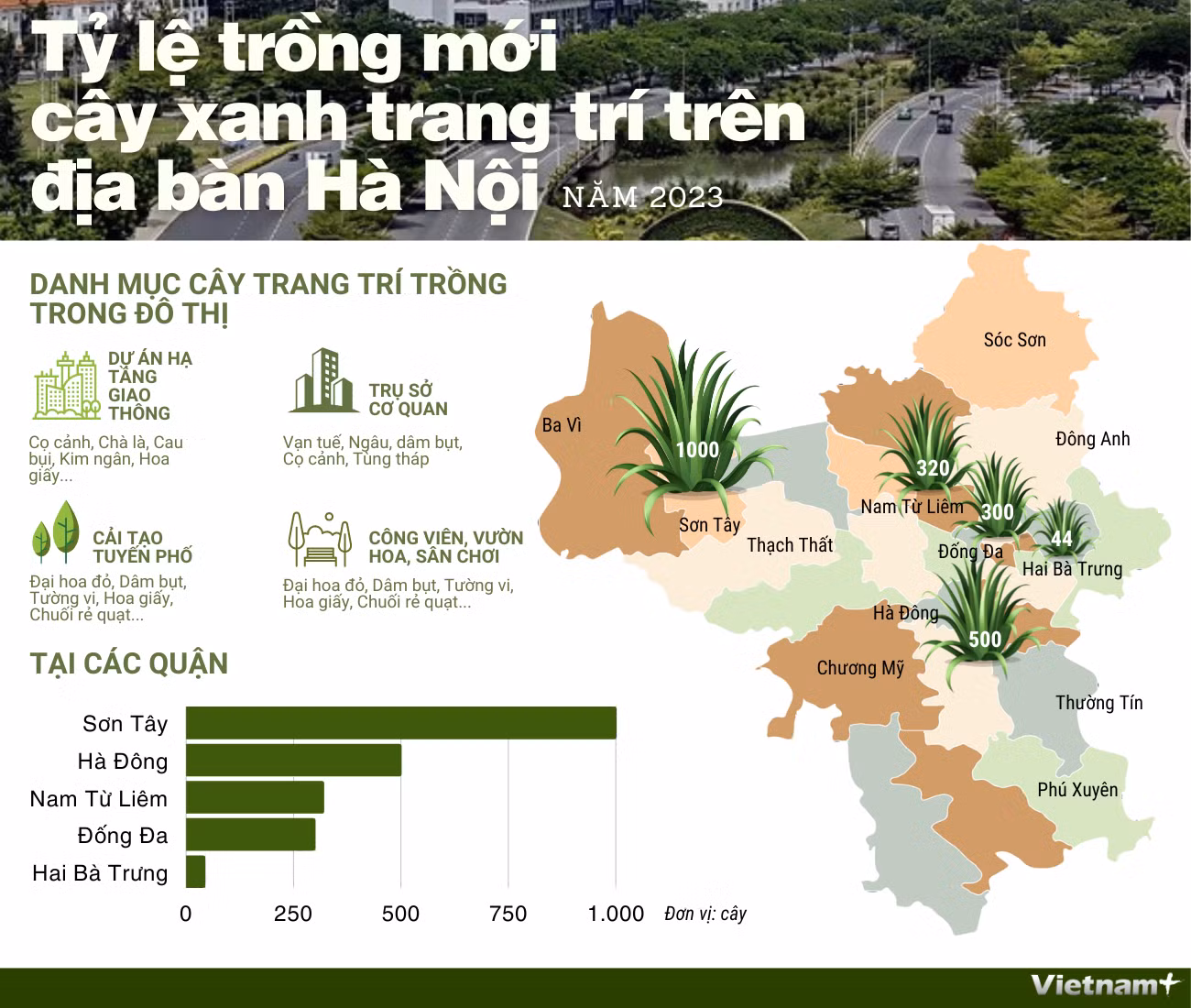 [Infographics] Tỷ lệ trồng mới cây xanh trang trí trên địa bàn Hà Nội ảnh 1