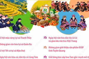 Lễ hội hoa tam giác mạch lần thứ 12 năm 2026: “Âm vang miền đá”
