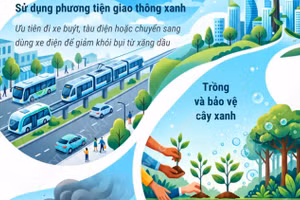 Ngày Quốc tế Không khí sạch vì bầu trời xanh: Biện pháp bảo vệ không khí sạch