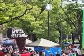 Lễ hội Di sản châu Phi tại Công viên Yoyogi "hút" khách tham quan