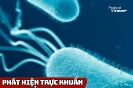Phát hiện trực khuẩn mủ xanh trong nước uống tại trường học ở Thái Nguyên 