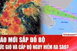 Bão Matmo sắp đổ bộ biển Đông mạnh cỡ nào?