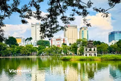 (Ảnh: Trần Hương Sơn/Vietnam+)