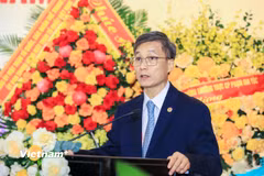 Nguyễn Khánh Ngọc - Chủ tịch Hội Luật gia Việt Nam khoá XV phát biểu nhận nhiệm vụ. (Ảnh: PV/Vietnam+)