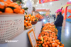 Nông sản Việt. (Ảnh: Vietnam+)