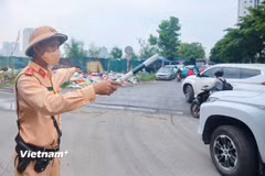 Ảnh minh họa. (Nguồn: Vietnam+)